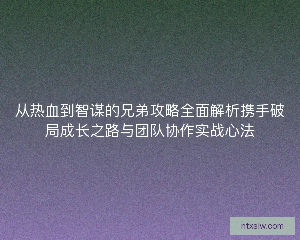 从热血到智谋的兄弟攻略全面解析携手破局成长之路与团队协作实战心法